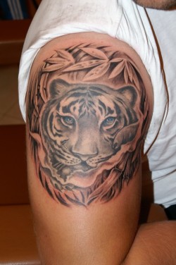 tattoogallery-me:  tiger tattoo on the arm