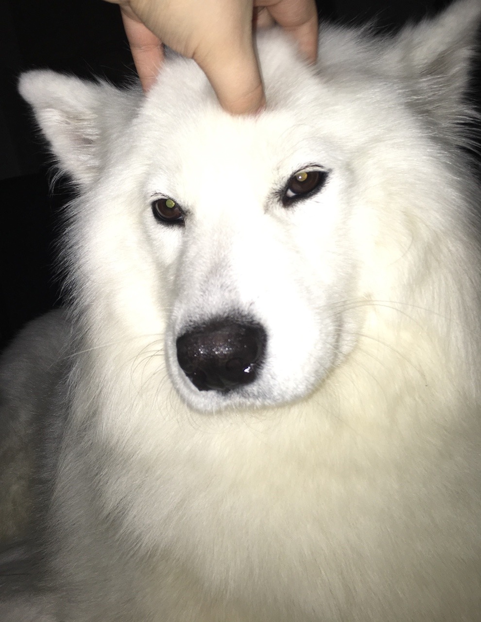 tyridot:  she’s here…