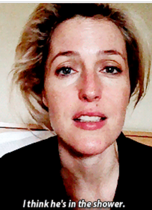 Back for Round Two â€” Gillian Anderson on David Duchovny: Interview...
