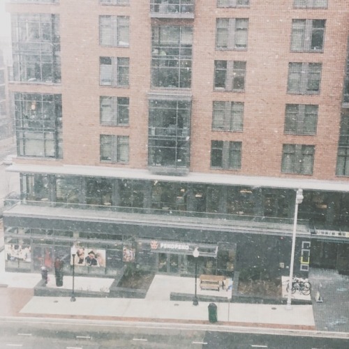 learninghowtopasta:100 Days of Productivity // Day Thirty-One Today it was snowing/raining in Balt