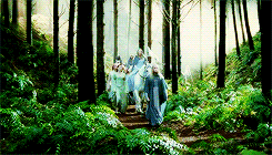 glorfindhel-deactivated20210912:  lotr meme: one film → the return of the king