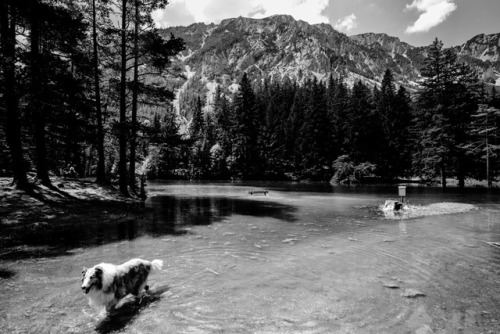 alexandermagedler:Grüner See, Targöss, Austria 2019