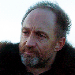 lordofdragonstone:  The North is larger than the other six kingdoms combined, and