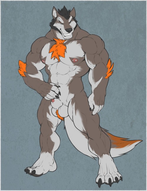 XXX chrispywolf:  (Zan) Half Wolf Full handsome photo