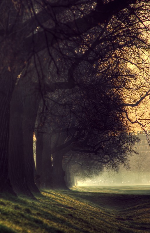 oculi-ds:  Misty world… by ~jeremi12