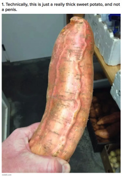 weirdbuzzfeed:31 Photos That, Despite Their Best Efforts, Are Not Of Penises