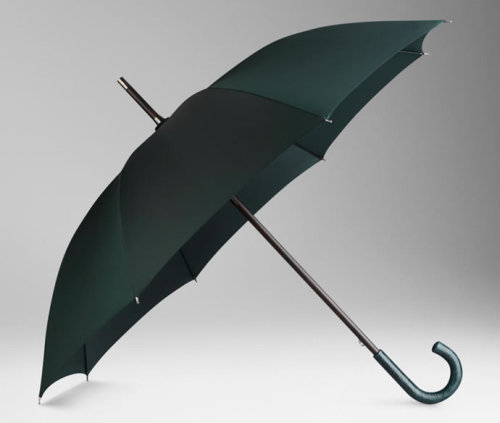 Burberry Walking Umbrella With Alligator Leather Handle… Price Tag: $1,495 -Everydayisfashion