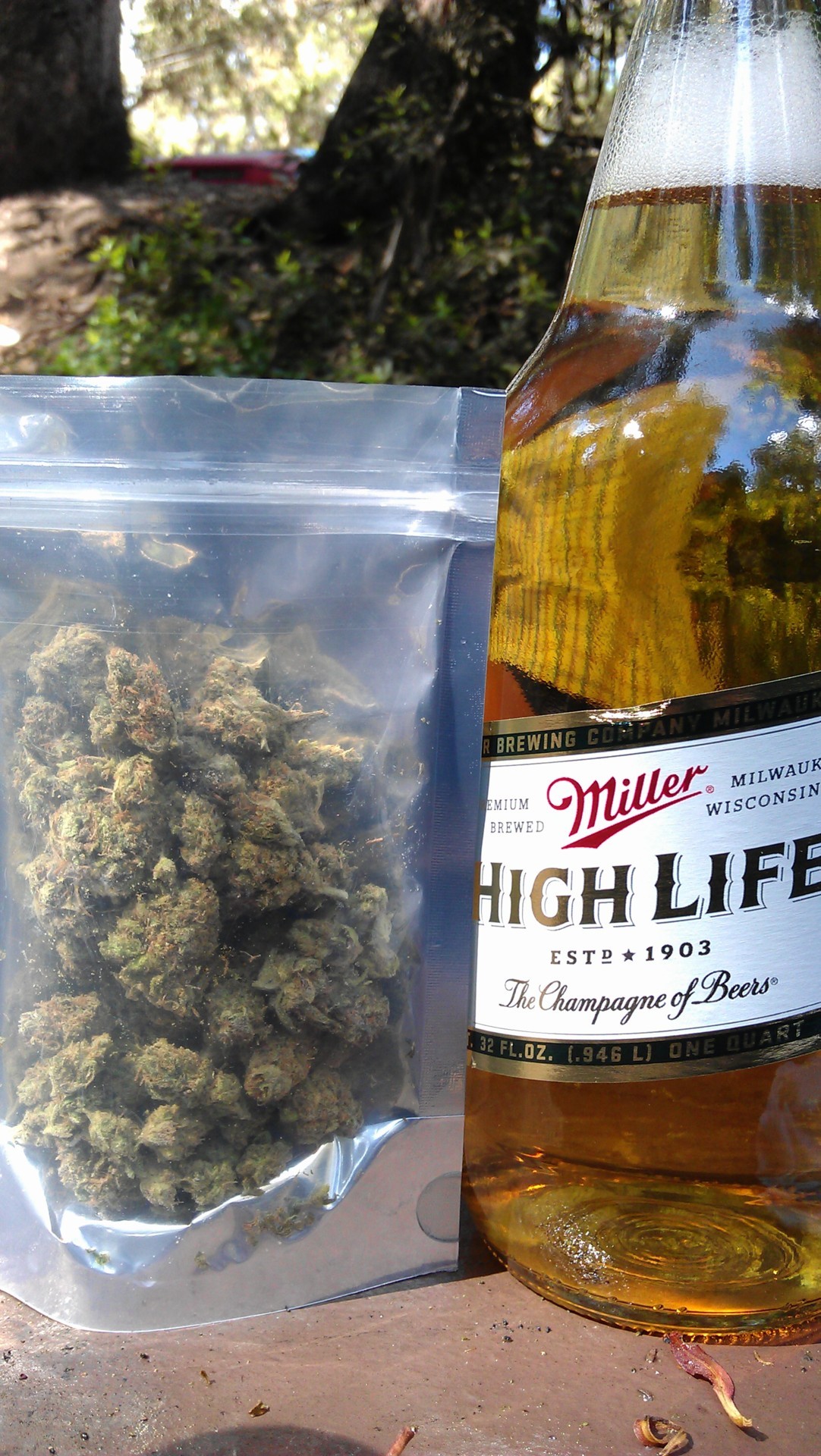 grow-your-weed:  Grow your own cannabis - Click here