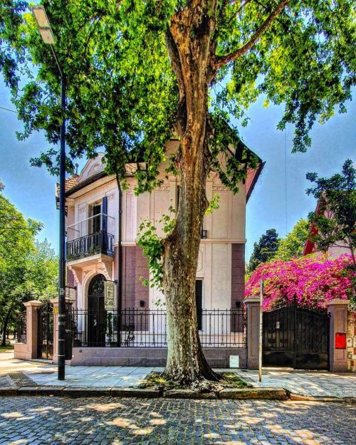 Virrey del Pino esquina Avenida Forest - Belgrano R, parece sacada de un cuento. . . : @ferraribsas 