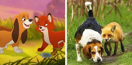 pizzaotter:pr1nceshawn:Animals Who Are Almost-Exact Copies Of Animated Movie Characters.I LOVE THIS.