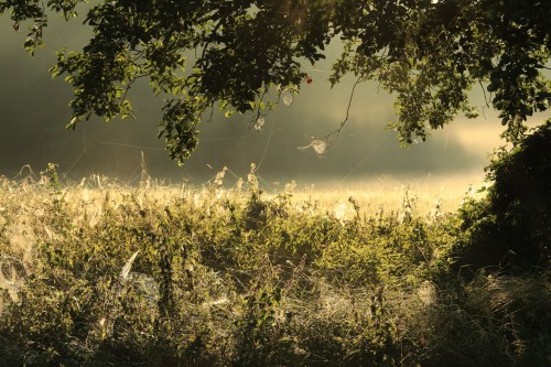 Podlasie, PolandSource: Klimaty Podlasia