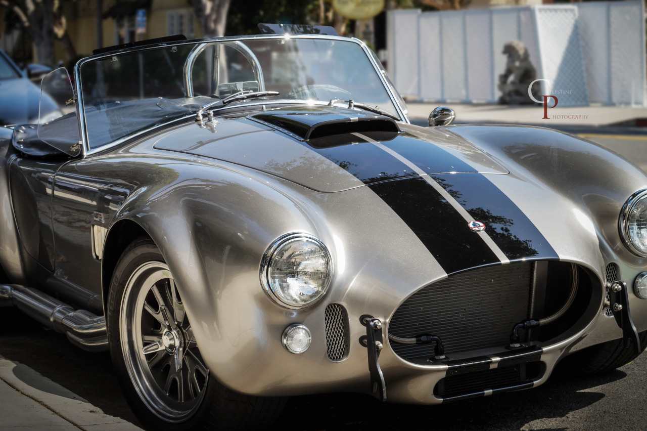 automotivated:  Cobra Love (By Celestine Photography)