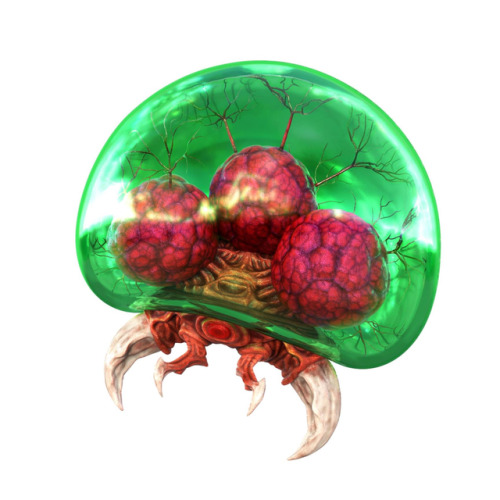 flumpytripod: Metroid forms (not including Queen) artwork for Metroid II: The Return of Samus and Me