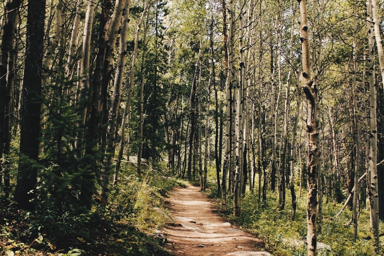  Meyer Ranch Park 
