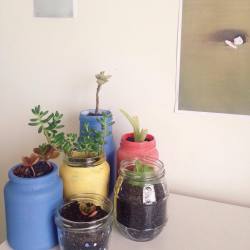 florels:  plant babies helping me study ✿