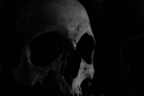 omniaobscura:  Le Catacombe di Parigi [A. Degani] c. 2013 