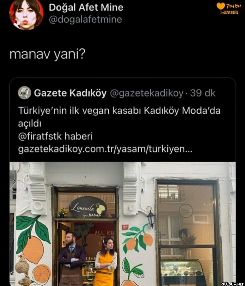 Doğal Afet Mine...