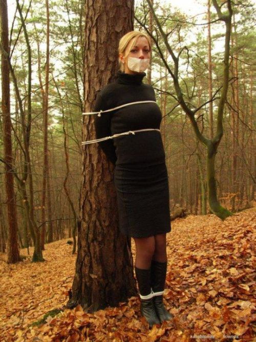 tied to tree