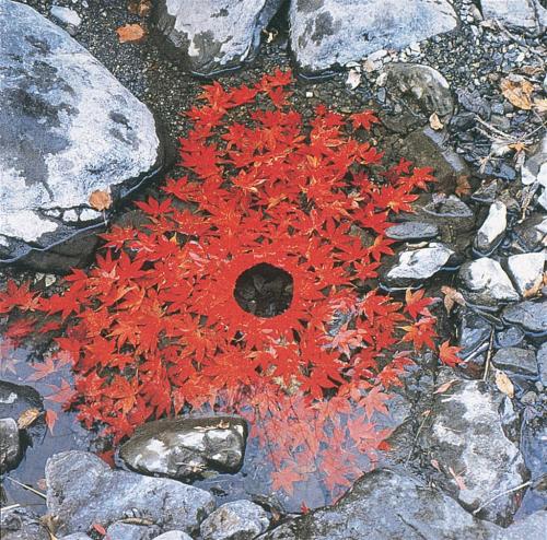 andy goldsworthy