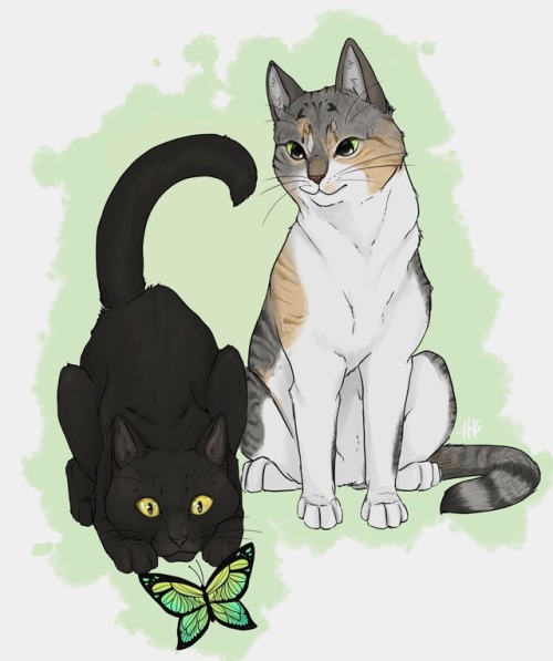 Some cat commissions. Figured I’d share XD