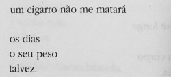 Arco íris, anjo rebelde