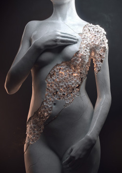 sixpenceee:  French 3D artist Jean-Michel Bihore has produced digital sculptures of the female form composed of a sample of dry flowers.
