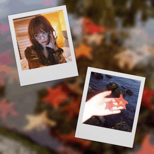  ◌ ⌯ 🍁 ꙳ ( ◡ ◡)