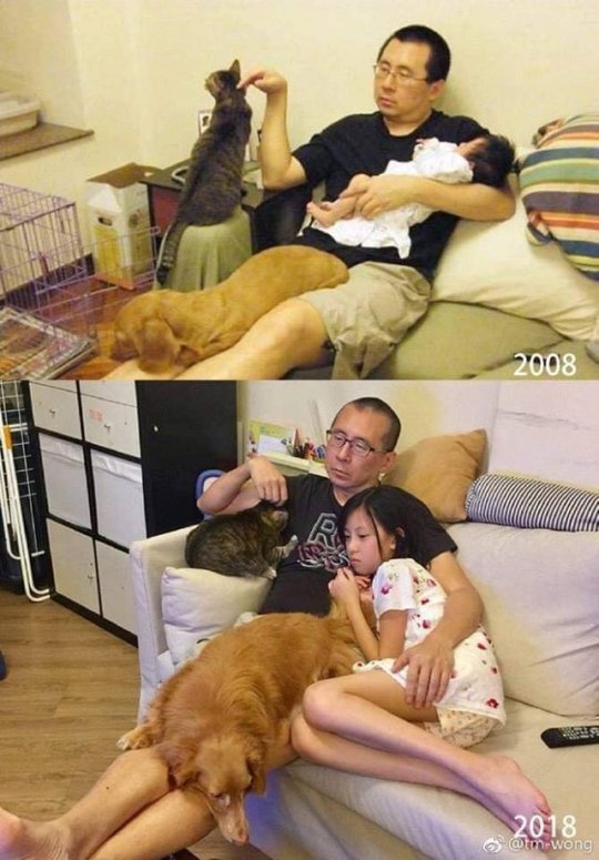 catchymemes: 