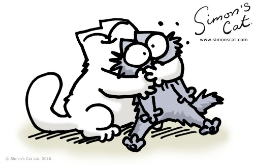 simonscat: It’s Hug a Cat Day! Don’t forget to show your feline friend a lot of love tod