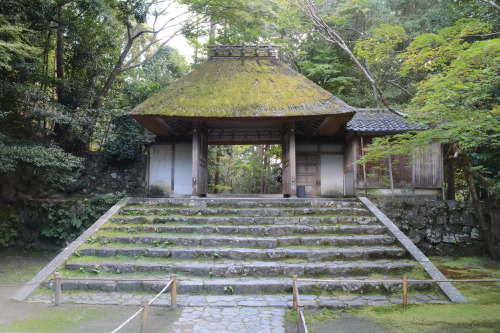 The grounds of Anrakuji Temple.