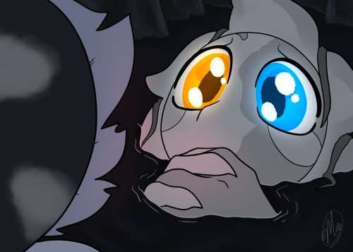 ------------------------------------------------------------------------------