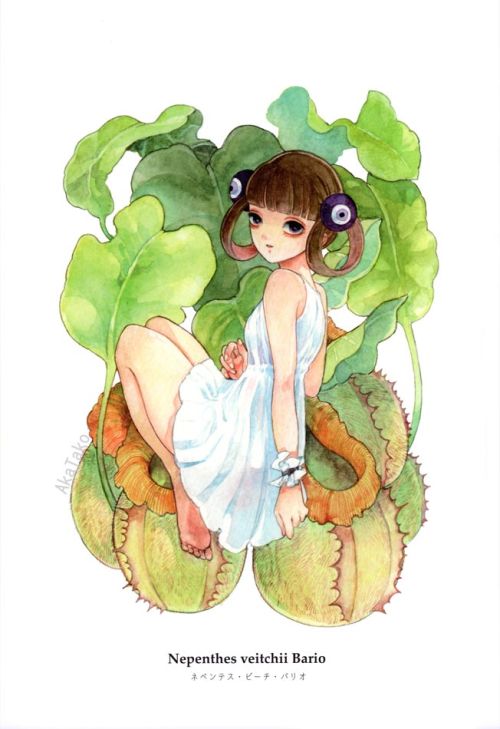 Carnivorous plants beautifully illustrated by Em Nishizuka in “Summer Specimen”. Availab