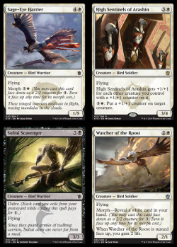 unicorntribal:  The Aven of Tarkir  So i don&rsquo;t really give a crap about the khans, but the aven are pretty awesome to see &lt;3 I really like those vulture-y ones. 