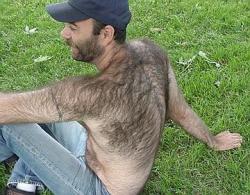 hairystylz:  hairypo:  Horny hairy guy  W♂♂F