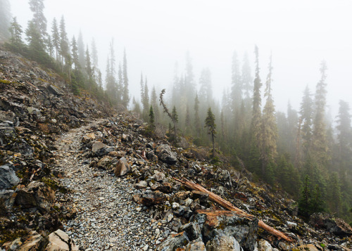 itakephotosofallthethings:How Much Longer Should We Wait?Snoqualmie Pass, WA