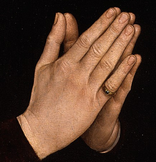 medicinals: Hans Memling, Tommaso di Folco Portinari, detail (c. 1470) 