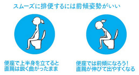 otsune:  トイレ、なぜ我慢できる　２つの筋肉がキープ　　：日本経済新聞 adult photos