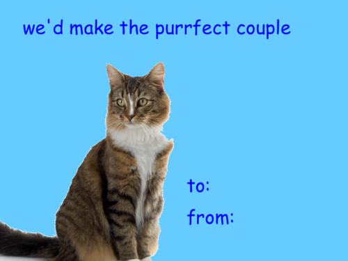 lumin4nce: someone needs to stop me valentines that will make ppl (or cats) like you (part 6/???) di