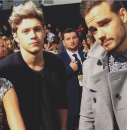 lirrylocks:  Niall and Liam on the AMA’s