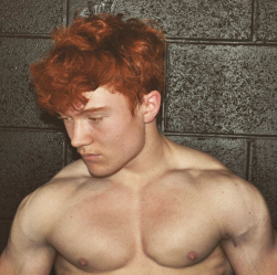 Ginger Genes