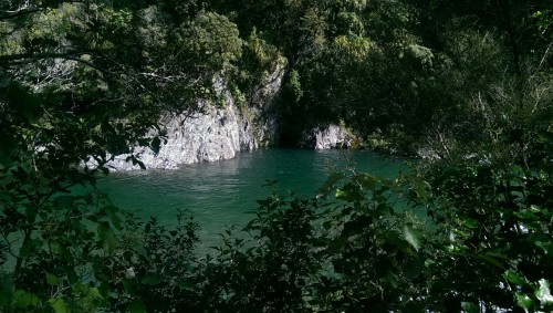 patternedbones:The water is so deep, it goes to the top on my thigh just stepping off the bank.