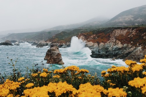 betomad: Big Sur, California. USA. photo by Micah Hamilton