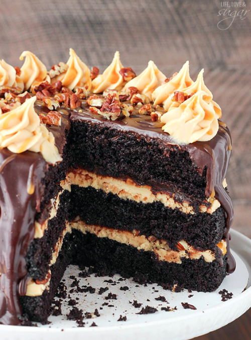 delicious-food-porn:Turtle Chocolate Layer Cakelol I’m not even sorry. Gaze upon this and drool.
