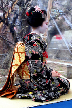 geisha-kai:  maiko Satoryu by MISSIONCONTROL