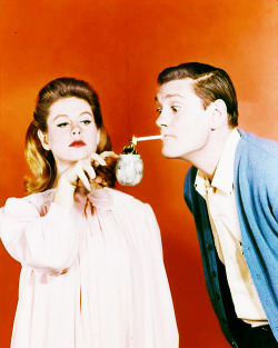hollywoodlady:  Elizabeth Montgomery and Dick York for Bewitched (1964 - 1972) 