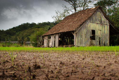 brazilwonders:  Timbó - Santa Catarina (by Fernando Pasold)