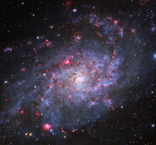 Object Names: M33, Triangulum Galaxy 
