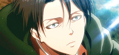 Happy Birthday, Levi Ackerman! [Dec. 25]