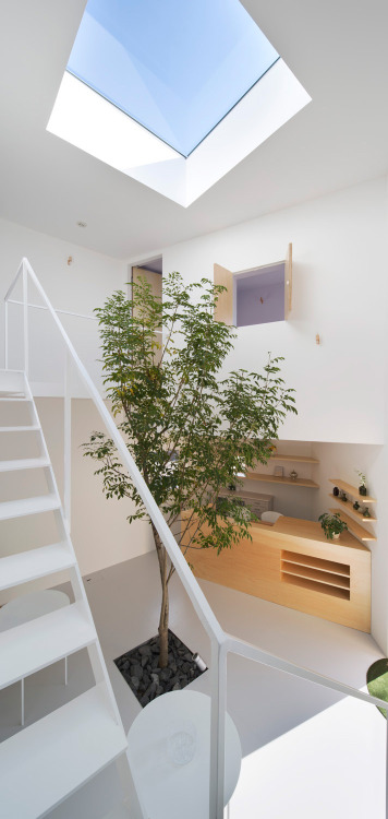 muemi:healing salon forest, airhouse (2015).