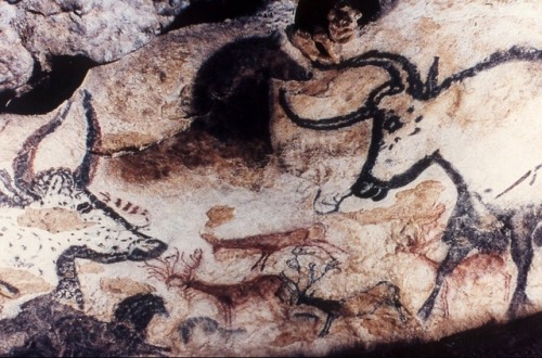 malemalefica: The cave of Lascaux is a system of caves in Dordogne (France) where they have discover